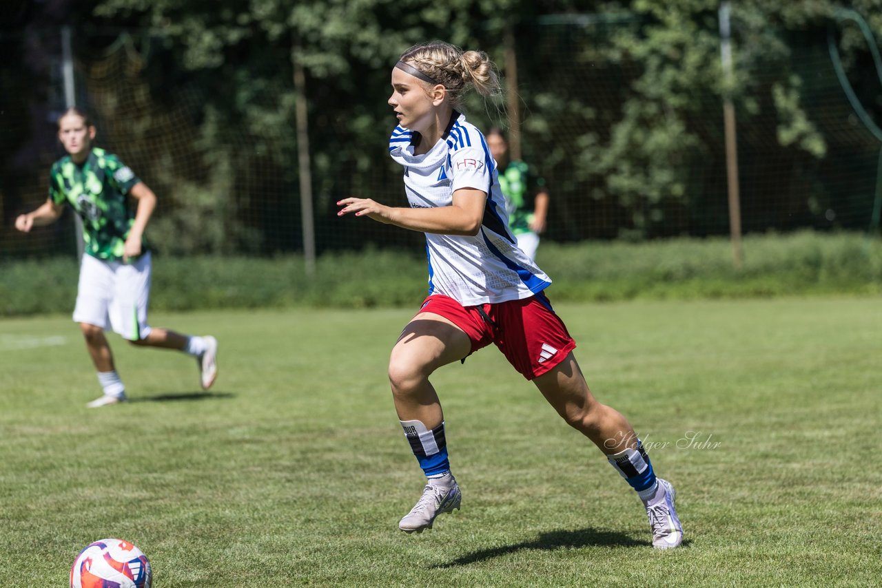 Bild 61 - wBJ Hamburger SV - VfL Wolfsburg : Ergebnis: 5:1